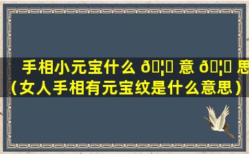 手相小元宝什么 🦊 意 🦋 思（女人手相有元宝纹是什么意思）